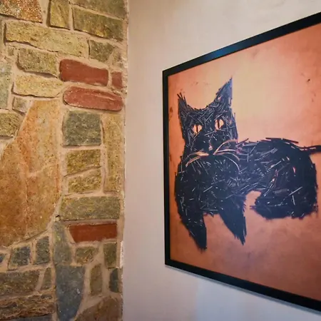 Apartment Casa Glicine Centro Storico Pinerolo